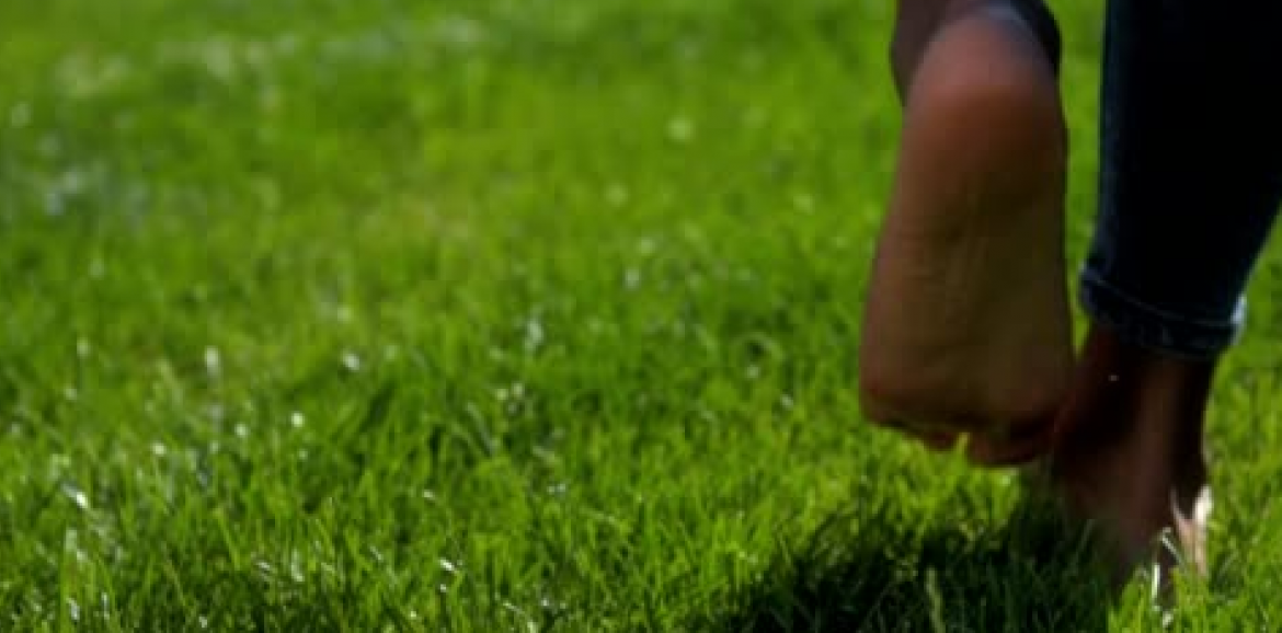 Earthing what is it?