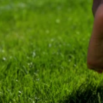 Earthing – What is it?