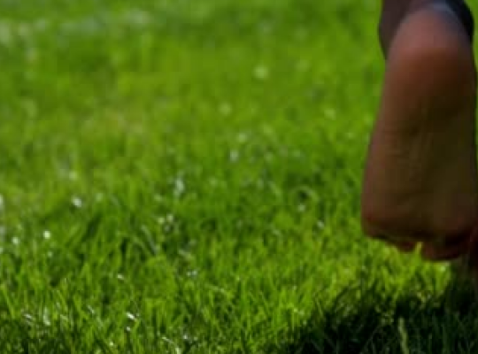 Earthing what is it?