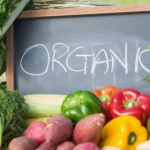 Organic Food – Why Do You Need to Eat it?