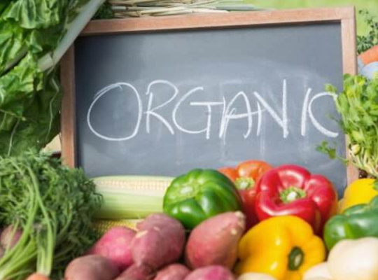 Organic Food