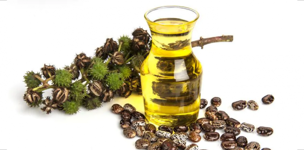 Caster Oil Packs
